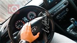 هيونداي فلوستر